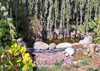 bb9b7cc7-c112-427a-84dc-c8ffb31c091d.jpg - Villa villa andreoli, Lanciano - photo 11