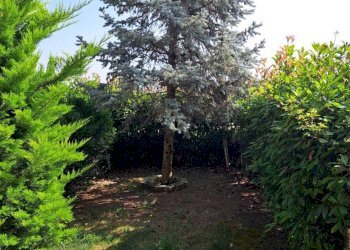 9fb7daec-d8cf-40da-b4b4-21e2b2114966.jpg - Villa villa andreoli, Lanciano - photo 13