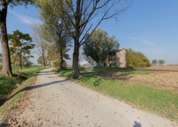 Rustico Viottolo del Medico, Correggio - foto 4