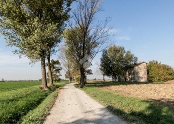 Rustico Viottolo del Medico, Correggio - foto 6
