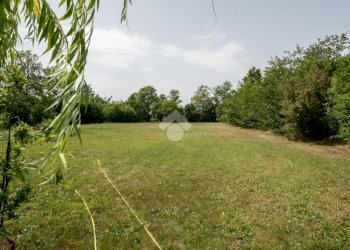 Rustic Via manzoni, Carpi - photo 4