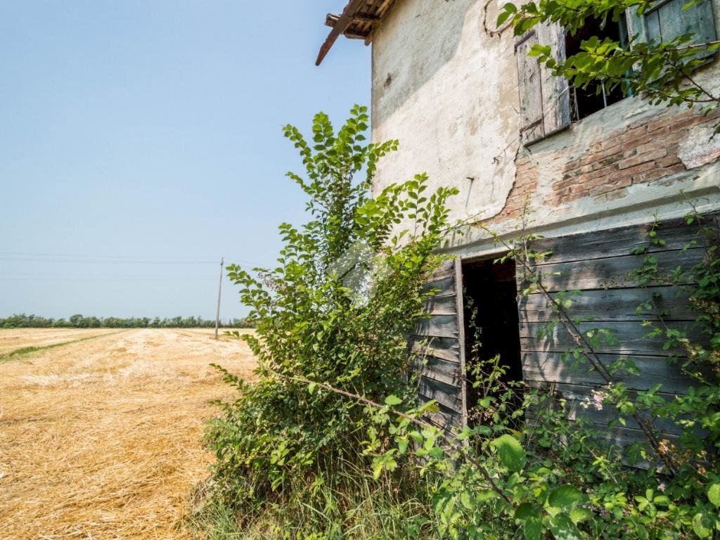 Rustic Via dei Morti, Carpi - photo 3