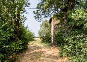Rustic Via dei Morti, Carpi - photo 5