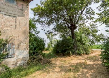 Rustic Via dei Morti, Carpi - photo 8