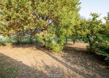 Porzione di casa piazza della repubblica, Castelfranco Emilia - foto 32