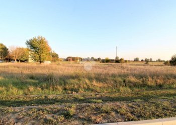 Terreno edificabile Via Silvio Siena, Medolla - foto 1