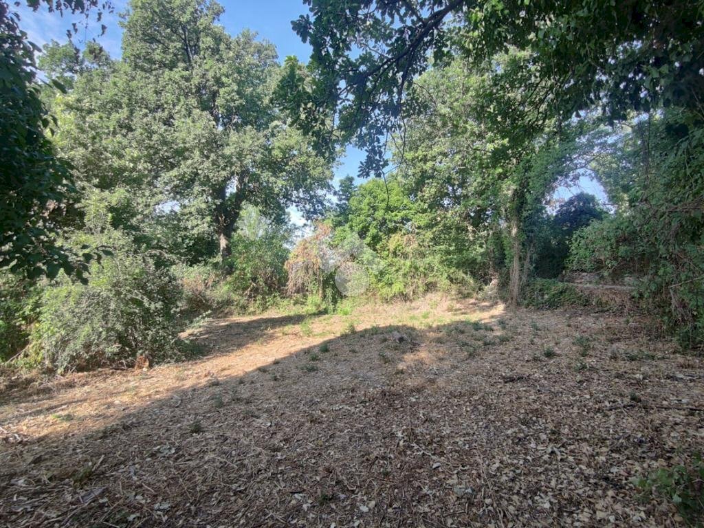 Villa Via san michele, Sassuolo - foto 3