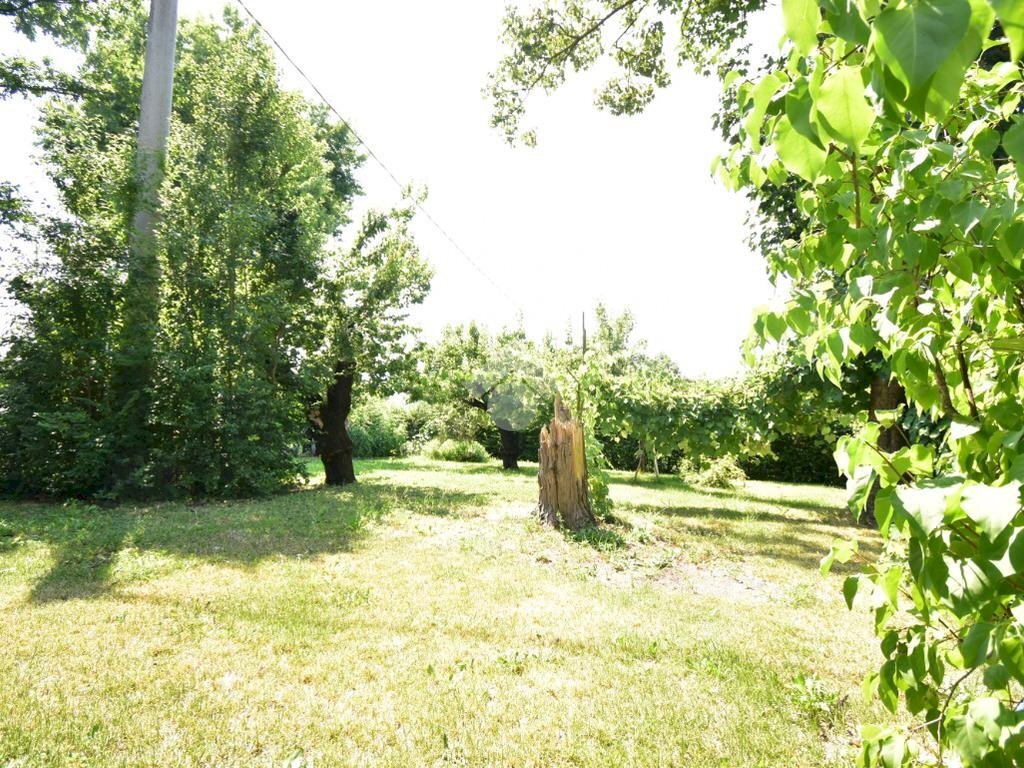 Casa semi indipendente Via Renzo Adani, Felino - foto 1