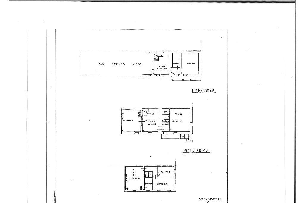 Casa semi indipendente Via Renzo Adani, Felino - planimetria 1