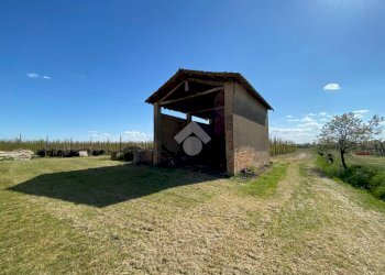 Rustico Via ripe di Fusignano, Lugo - foto 8