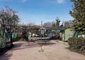 Building land terreno mercantesse, Baranzate - photo 2