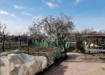 Building land terreno mercantesse, Baranzate - photo 4