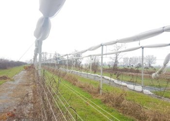 Independent house Via Ciro Menotti, Corbetta - photo 24