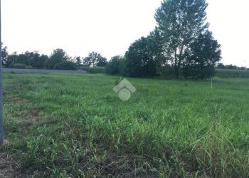 Building land via mauro macchi, Corbetta - photo 7