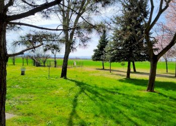 Casa indipendente Reggio nell'Emilia - foto 2