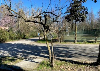 Building land Via San Giorgio., Rio Saliceto - photo 3