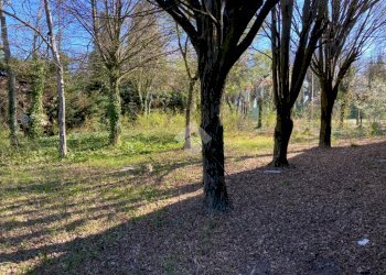 Building land Via San Giorgio., Rio Saliceto - photo 5
