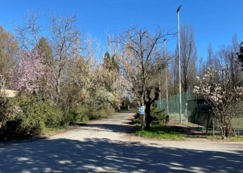 Building land Via San Giorgio., Rio Saliceto - photo 4
