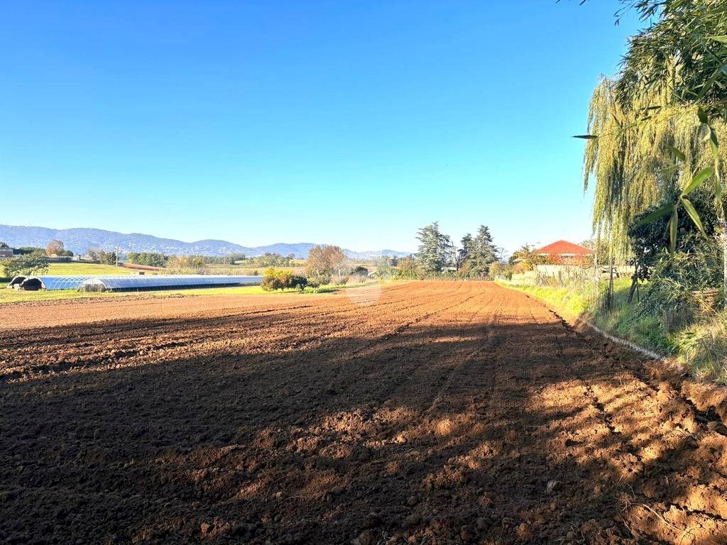 Building land via De Gasperi, Cambiano - photo 2