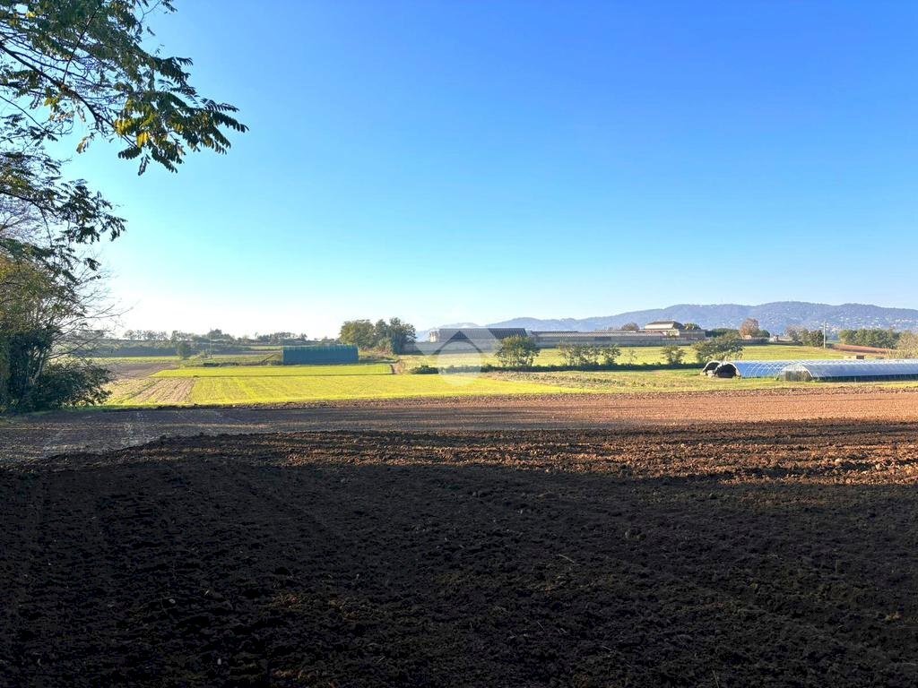 Building land via De Gasperi, Cambiano - photo 1