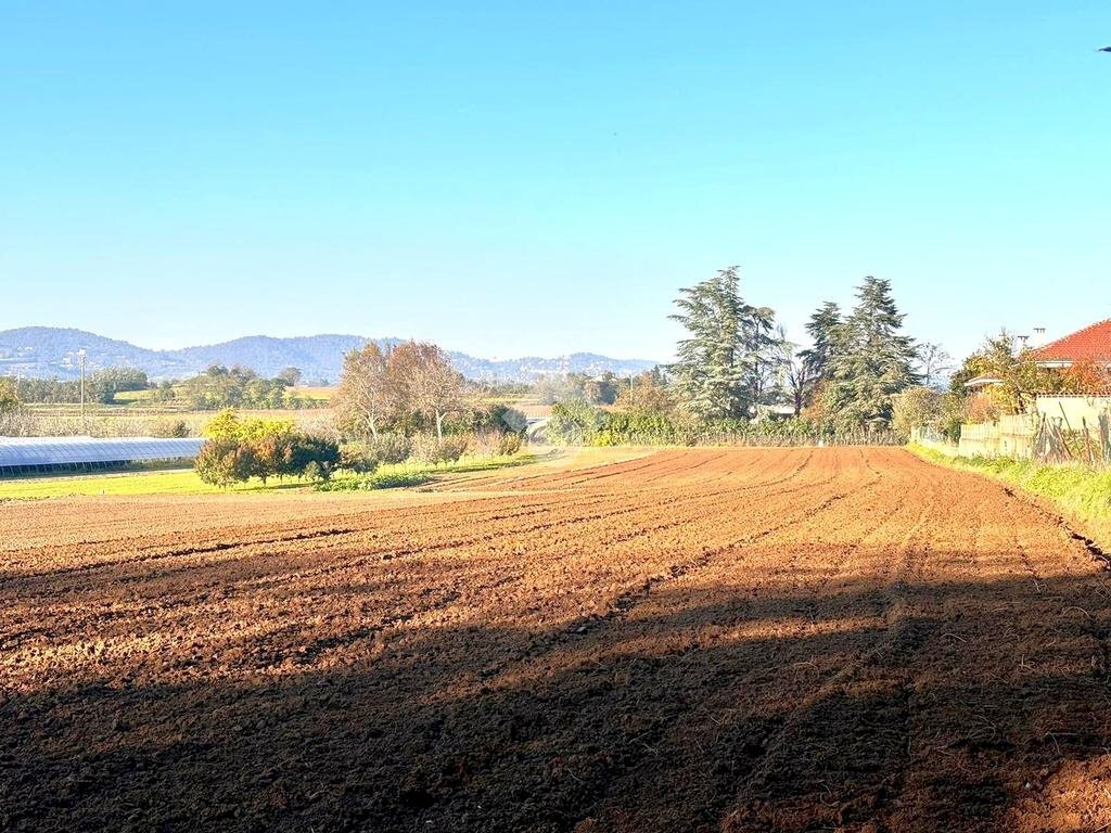Building land via De Gasperi, Cambiano - photo 3