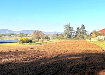 Building land via De Gasperi, Cambiano - photo 3