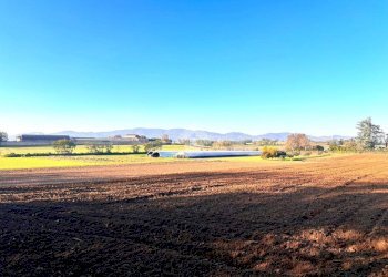 Building land via De Gasperi, Cambiano - photo 4