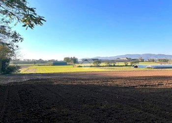 Building land via De Gasperi, Cambiano - photo 9