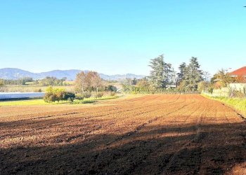 Building land via De Gasperi, Cambiano - photo 10