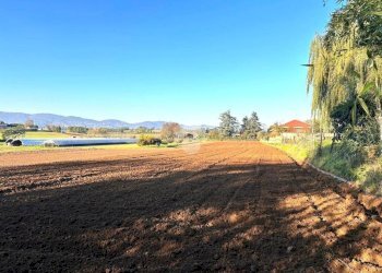 Building land via De Gasperi, Cambiano - photo 11