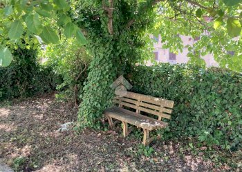 Casa semi indipendente Frazione simone, Valdilana - foto 6