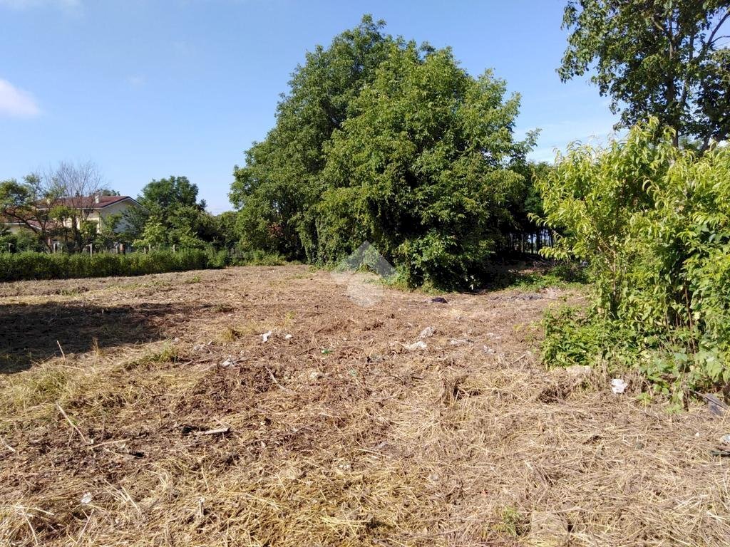 Terreno edificabile Via umberto, Vigone - foto 3