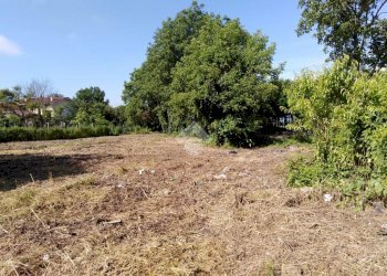 Terreno edificabile Via umberto, Vigone - foto 3