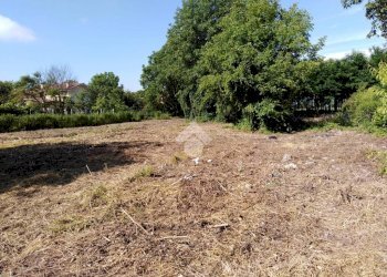 Terreno edificabile Via umberto, Vigone - foto 5