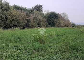 Terreno edificabile Via umberto, Vigone - foto 13