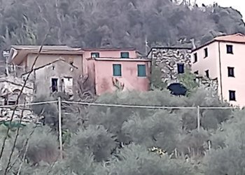 Casa semi indipendente Via Nascio, Ne - foto 1