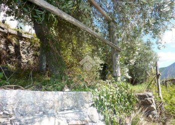 Casa semi indipendente Strada Comunale Levaggi, Borzonasca - foto 34