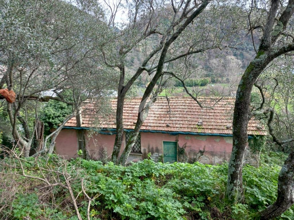 Rustico Via Casali, Carasco - foto 2