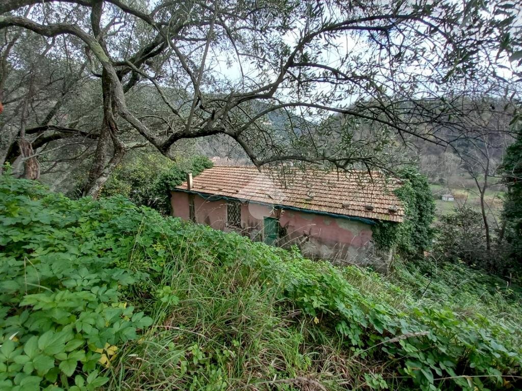 Rustico Via Casali, Carasco - foto 3