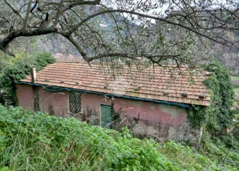 Rustic Via Casali, Carasco - photo 1