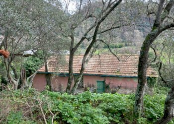 Rustic Via Casali, Carasco - photo 2