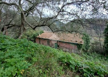 Rustic Via Casali, Carasco - photo 3