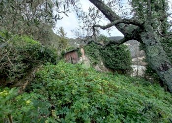 Rustic Via Casali, Carasco - photo 4