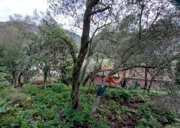 Rustic Via Casali, Carasco - photo 5