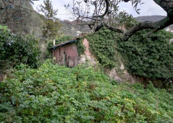 Rustic Via Casali, Carasco - photo 6