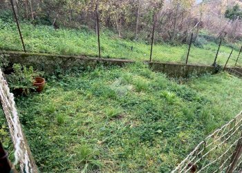 Three-room apartment via sant'olcese, Sant'Olcese - photo 8