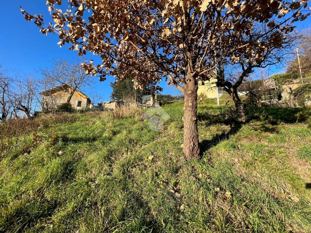 Terreno edificabile Via Valleregia, Serra Riccò - foto 2
