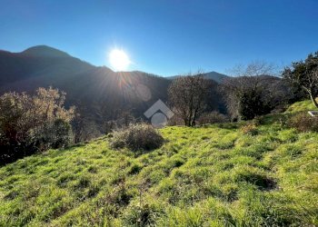 Terreno edificabile Via Valleregia, Serra Riccò - foto 4