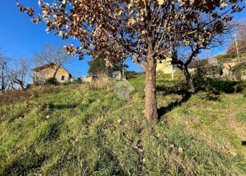 Terreno edificabile Via Valleregia, Serra Riccò - foto 2