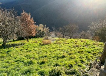 Terreno edificabile Via Valleregia, Serra Riccò - foto 11